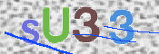 この文字を入力してください