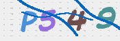 この文字を入力してください