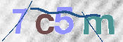 この文字を入力してください