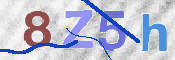 この文字を入力してください