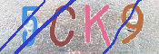 この文字を入力してください
