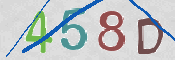 この文字を入力してください