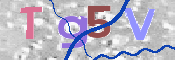 この文字を入力してください