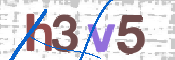 この文字を入力してください