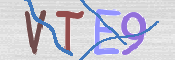 この文字を入力してください