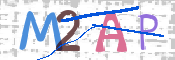 この文字を入力してください