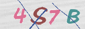 この文字を入力してください