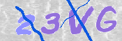 この文字を入力してください