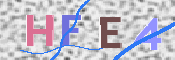 この文字を入力してください