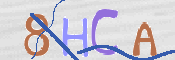 この文字を入力してください
