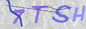 この文字を入力してください