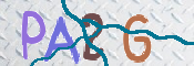 この文字を入力してください