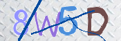 この文字を入力してください