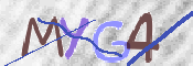 この文字を入力してください