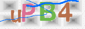 この文字を入力してください