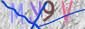 この文字を入力してください