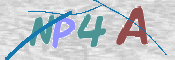 この文字を入力してください