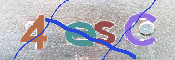 この文字を入力してください