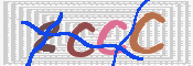この文字を入力してください