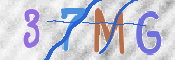 この文字を入力してください