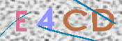 この文字を入力してください