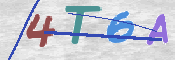 この文字を入力してください