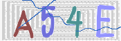 この文字を入力してください