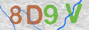 この文字を入力してください