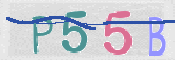 この文字を入力してください