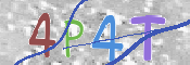 この文字を入力してください