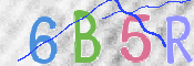 この文字を入力してください
