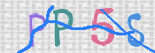 この文字を入力してください