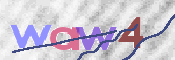 この文字を入力してください