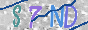 この文字を入力してください