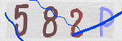 この文字を入力してください