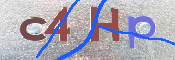 この文字を入力してください