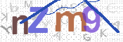 この文字を入力してください