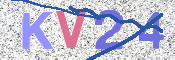 この文字を入力してください