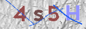 この文字を入力してください