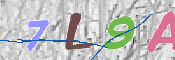 この文字を入力してください