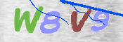 この文字を入力してください