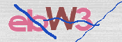 この文字を入力してください