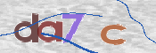 この文字を入力してください