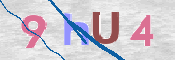 この文字を入力してください