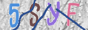 この文字を入力してください
