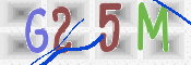この文字を入力してください