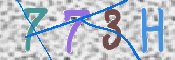 この文字を入力してください