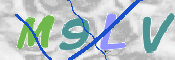 この文字を入力してください