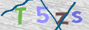 この文字を入力してください
