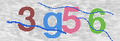 この文字を入力してください